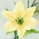 Lilie-žlutá