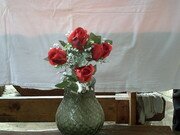 kytice 5 rudých růží