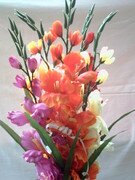 Kytice barevných mečíků